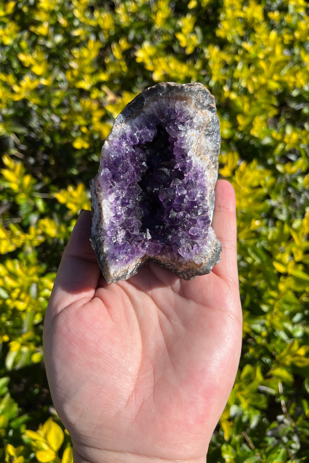 Amethyst Geode #1