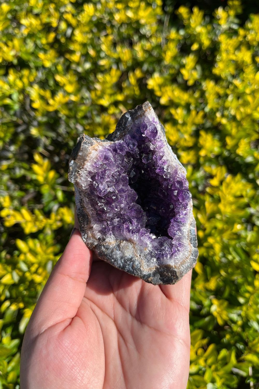 Amethyst Geode #1