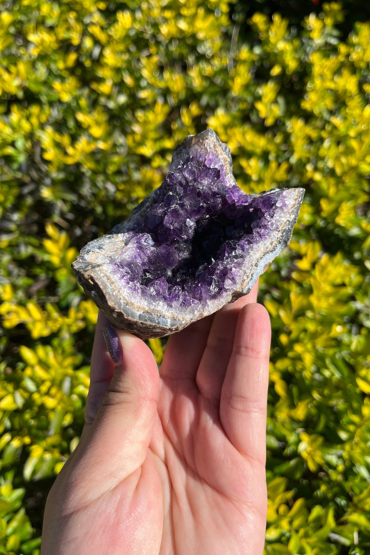 Amethyst Geode #1