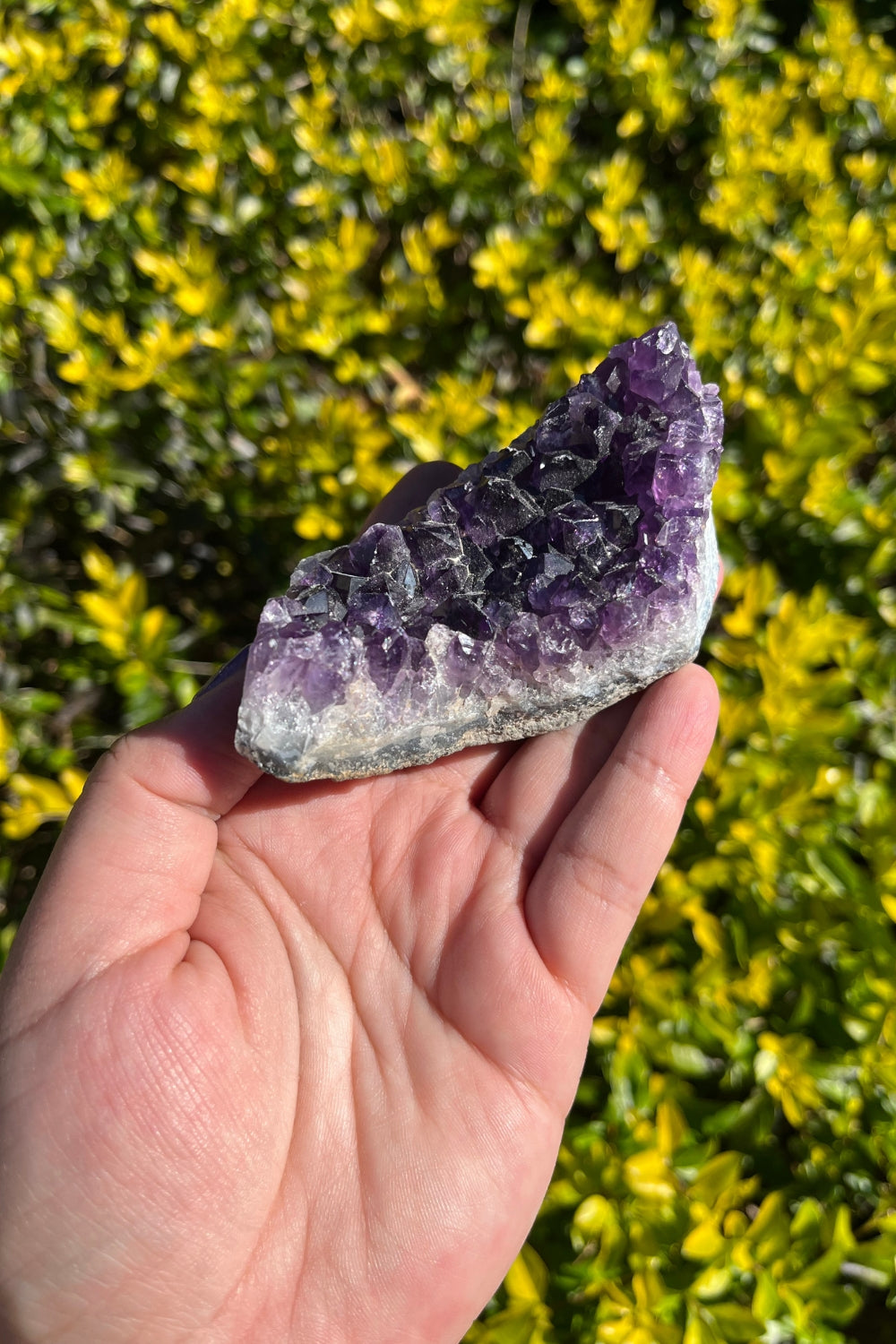 Amethyst Geode #3