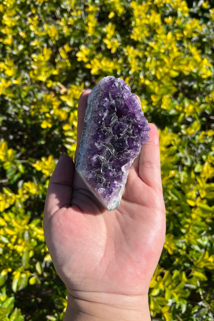 Amethyst Geode #3