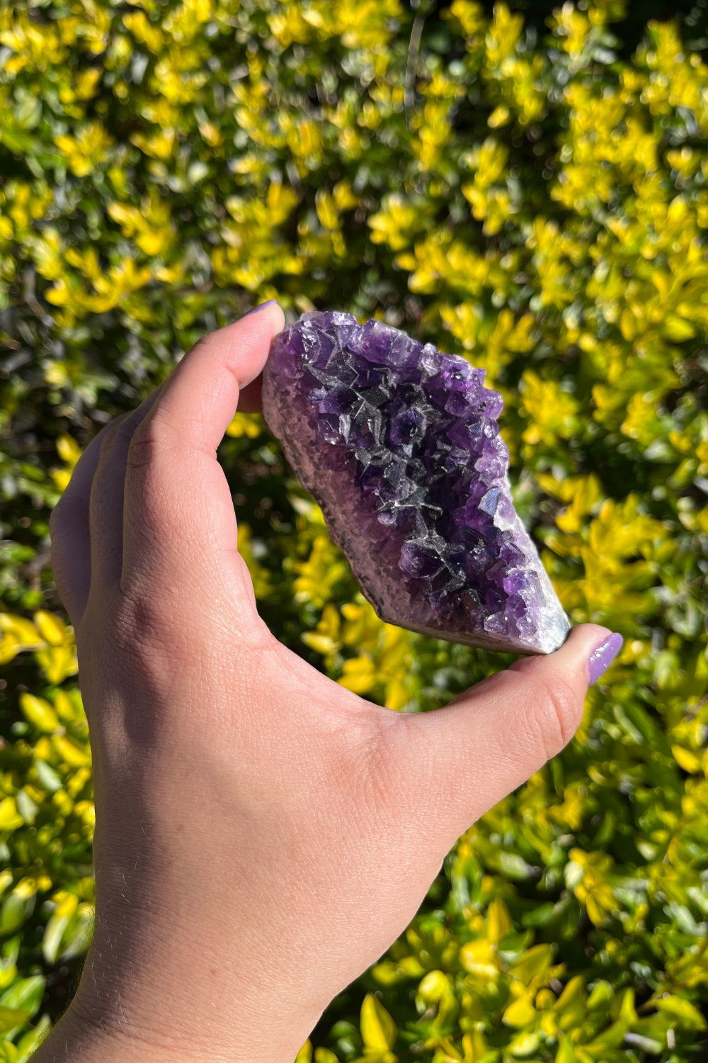 Amethyst Geode #3