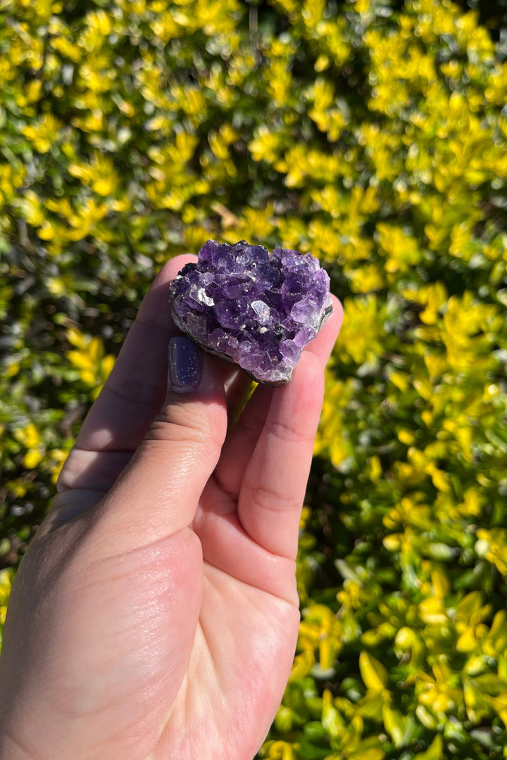 Amethyst Geode #4
