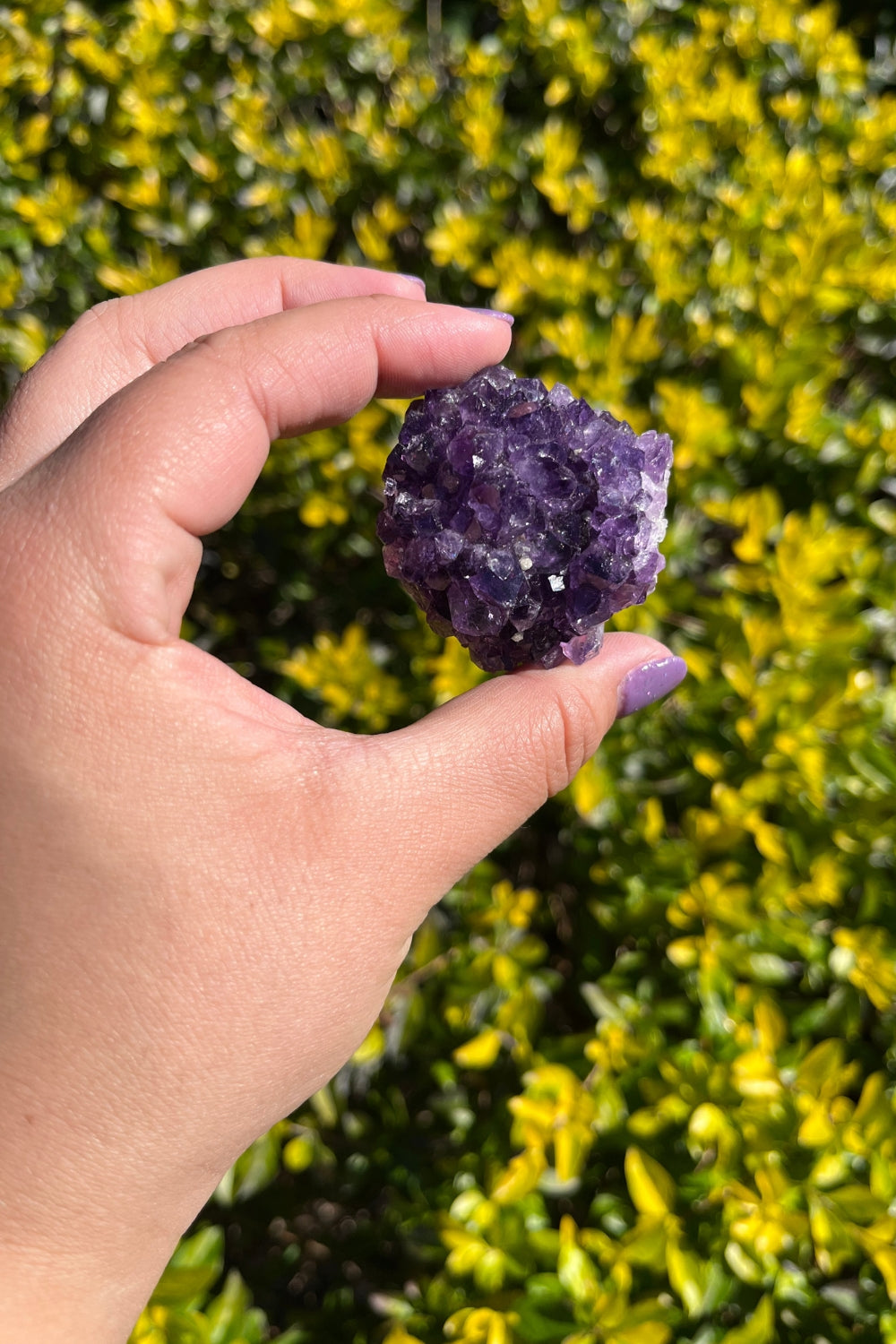 Amethyst Geode #4