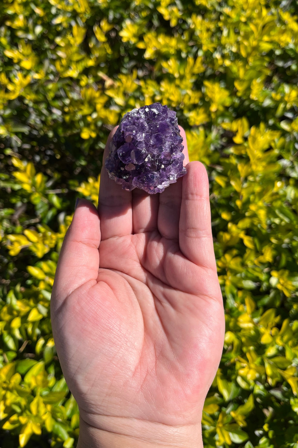 Amethyst Geode #4