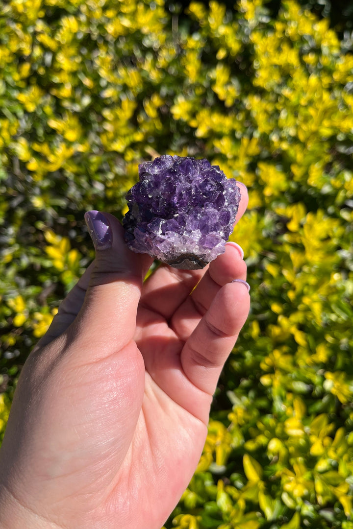 Amethyst Geode #4