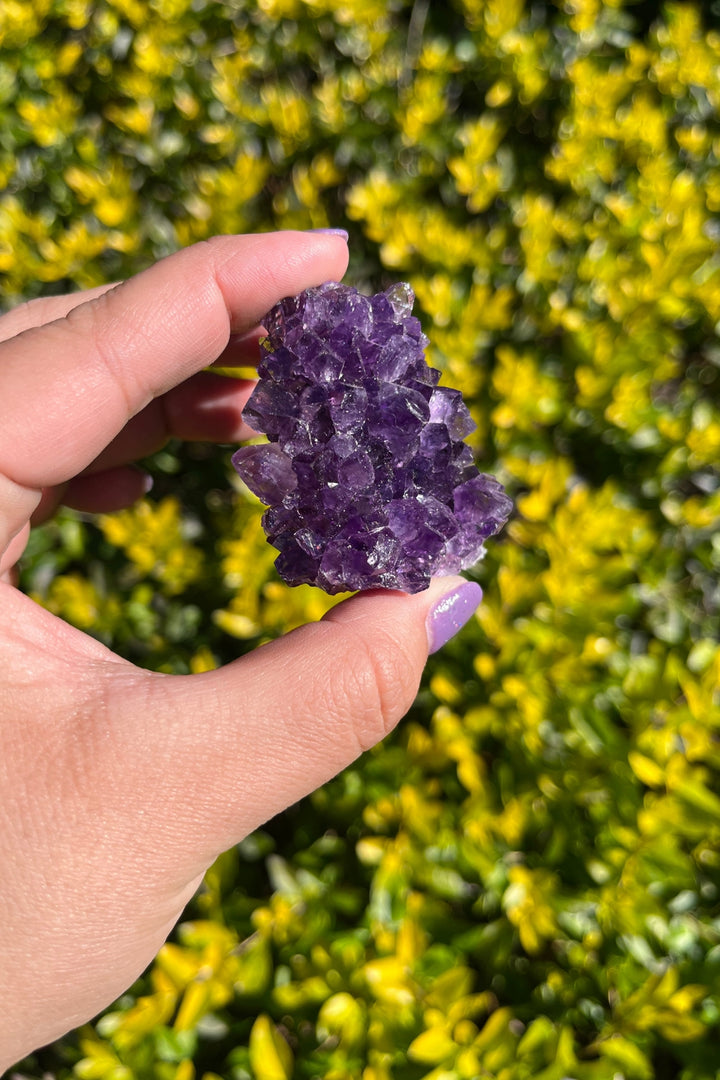 Amethyst Geode #5