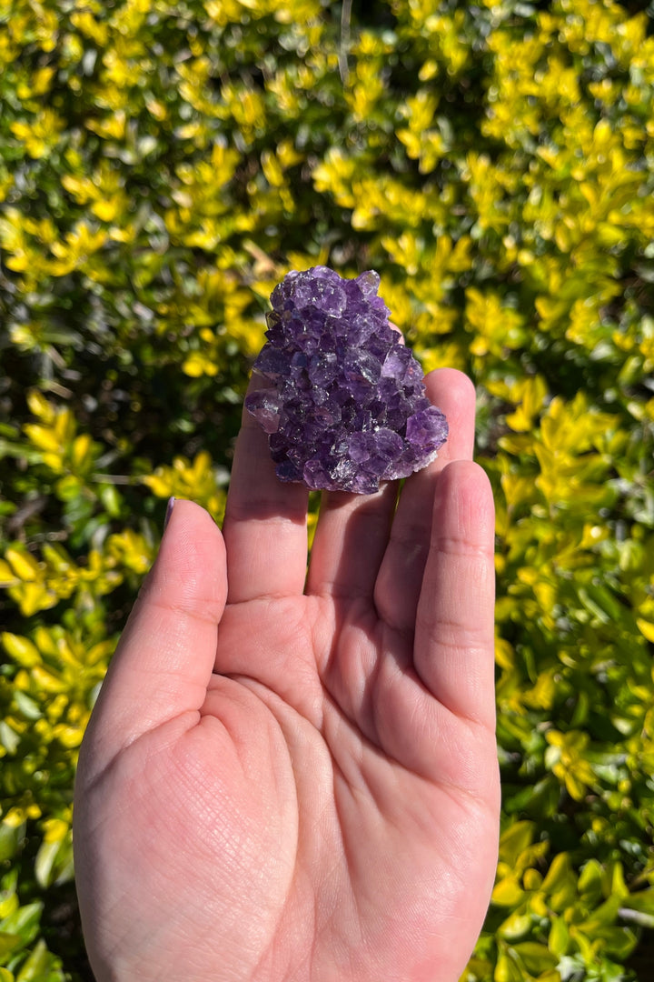 Amethyst Geode #5