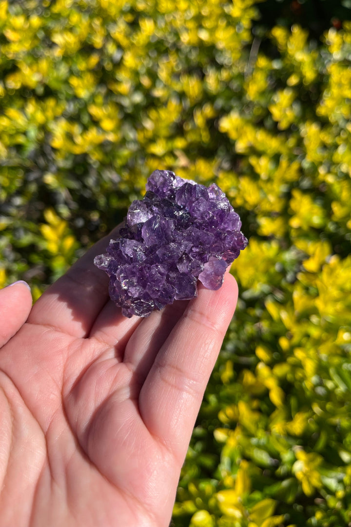 Amethyst Geode #5