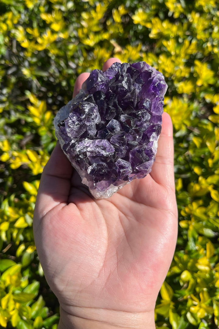 Amethyst Geode #6