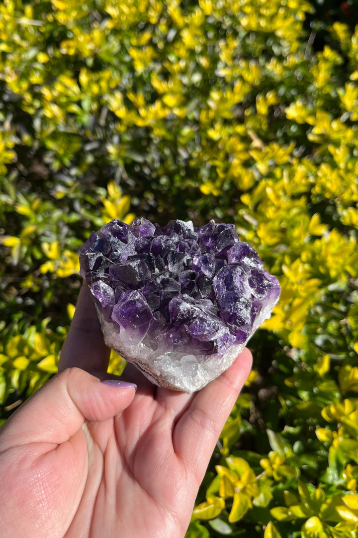 Amethyst Geode #6