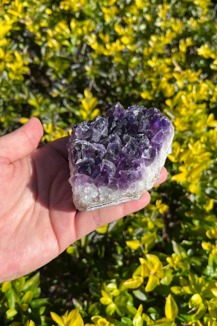 Amethyst Geode #6