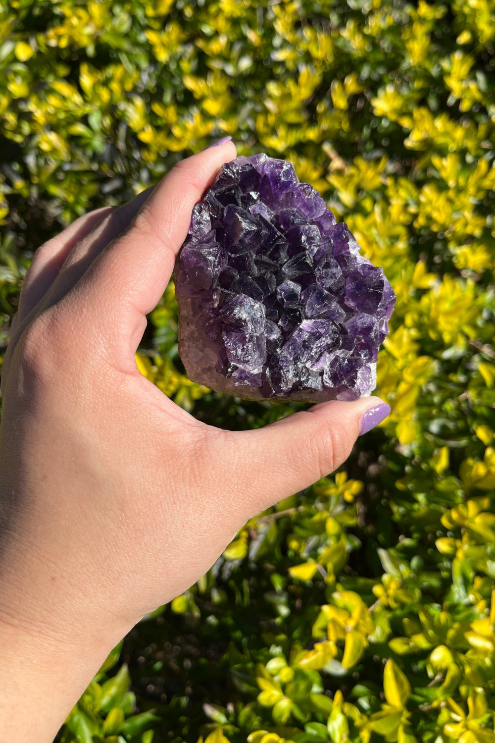 Amethyst Geode discount Cluster