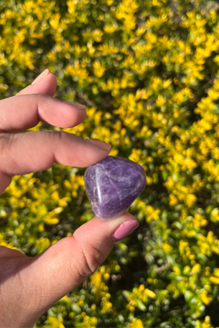 Amethyst Tumbles