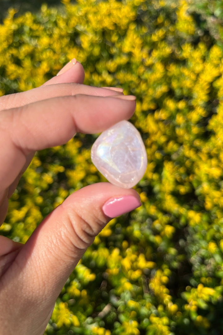 Angel Aura Rose Quartz Tumbles