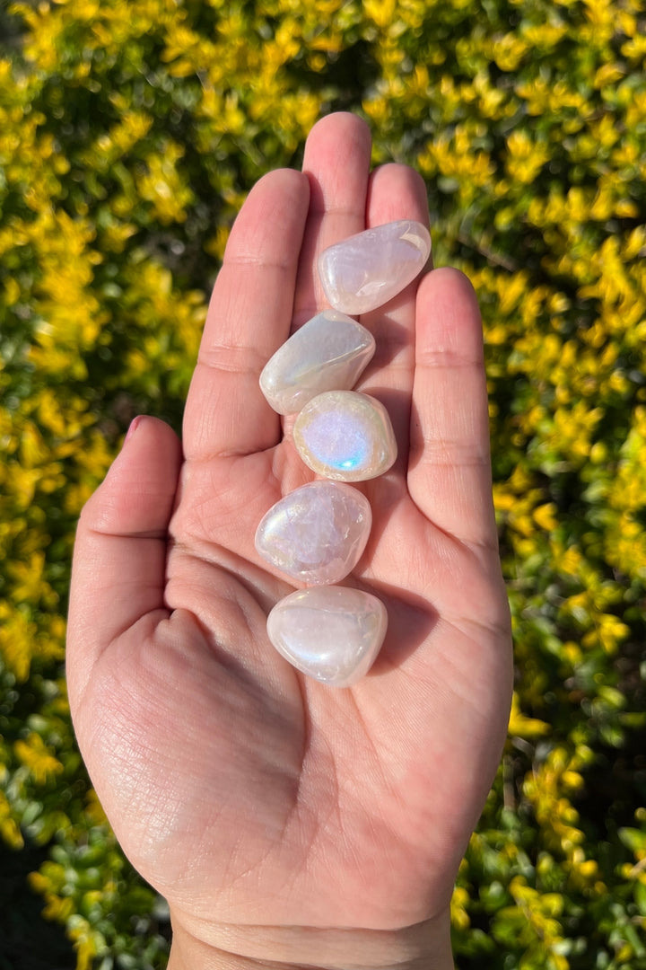 Angel Aura Rose Quartz Tumbles