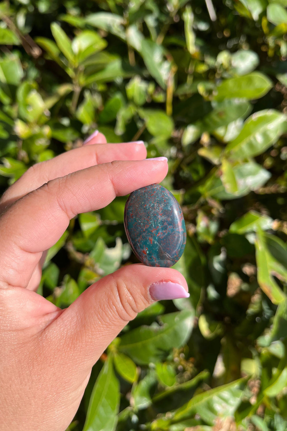 Bloodstone Cabochon