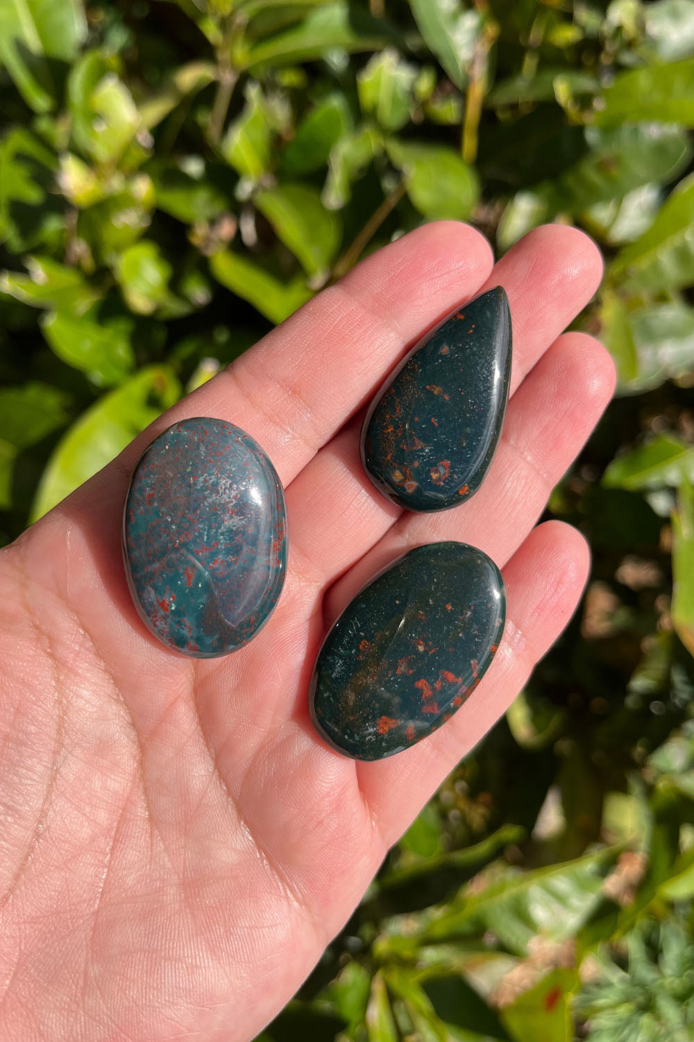 Bloodstone Cabochon