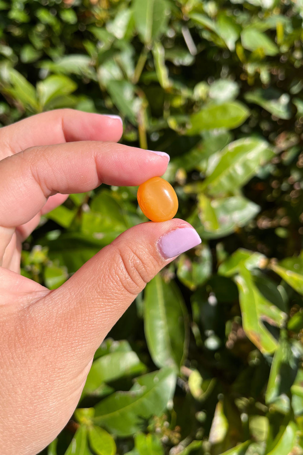 Burma Opal Cabochon