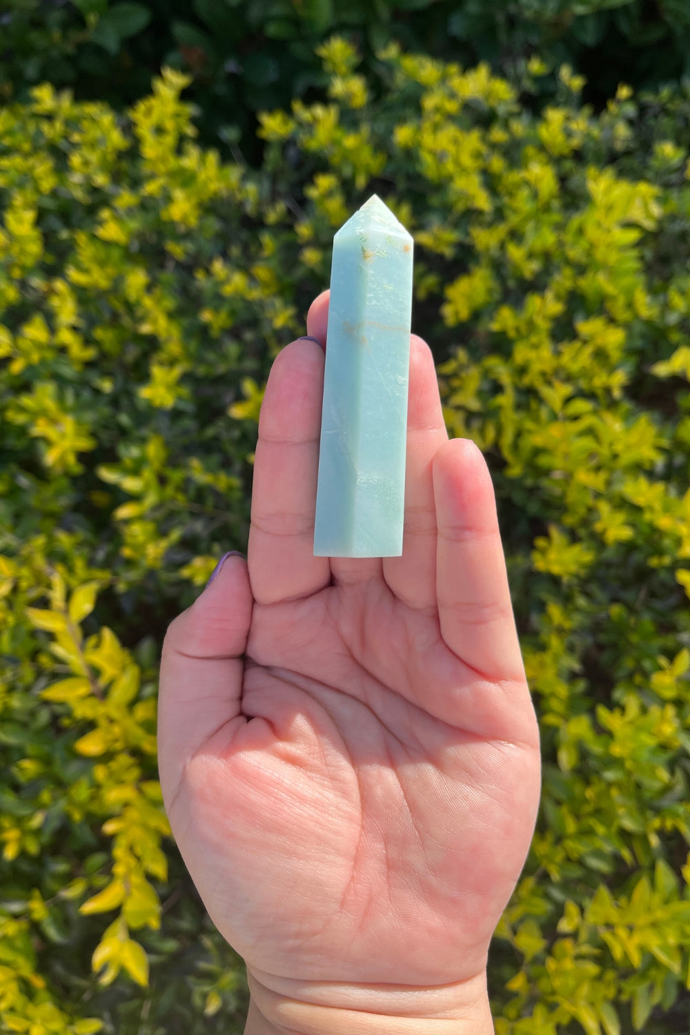 Caribbean Calcite Point Tower #1