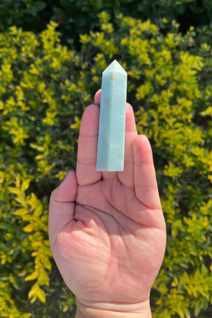 Caribbean Calcite Point Tower #1