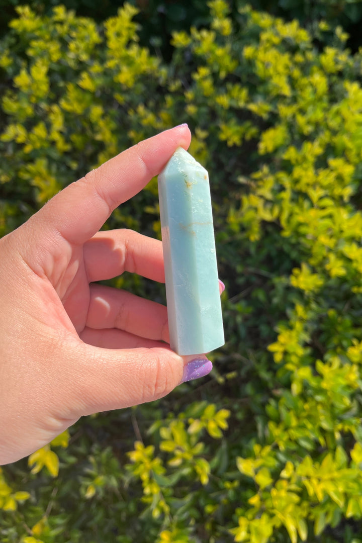 Caribbean Calcite Point Tower #1