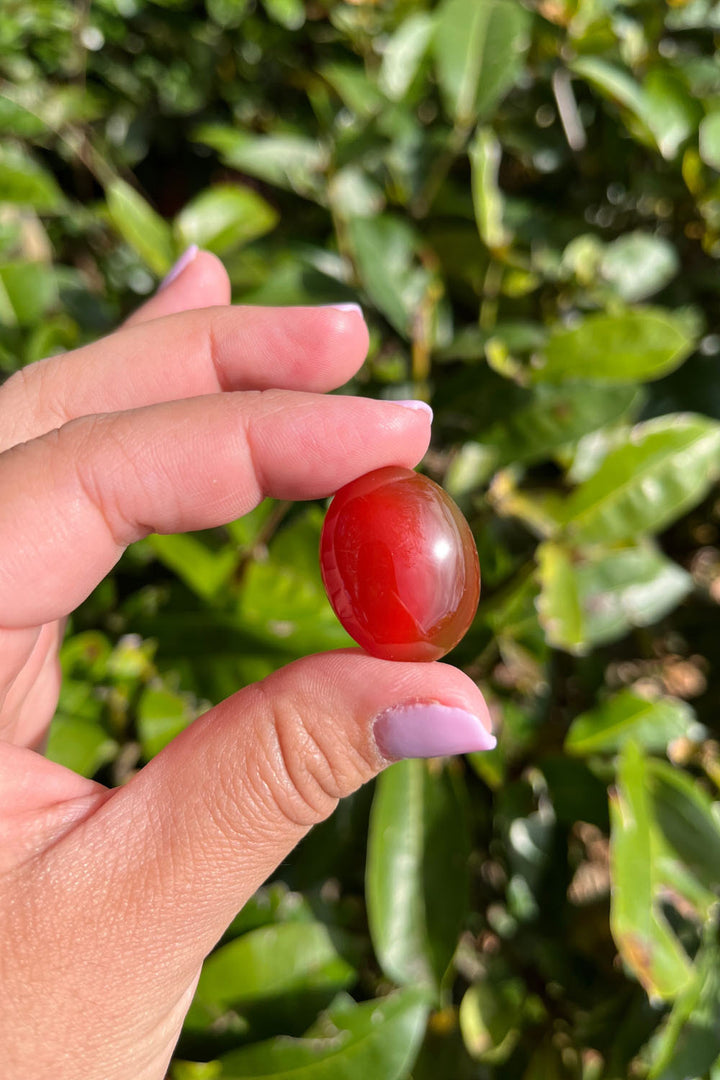Carnelian Cabochon