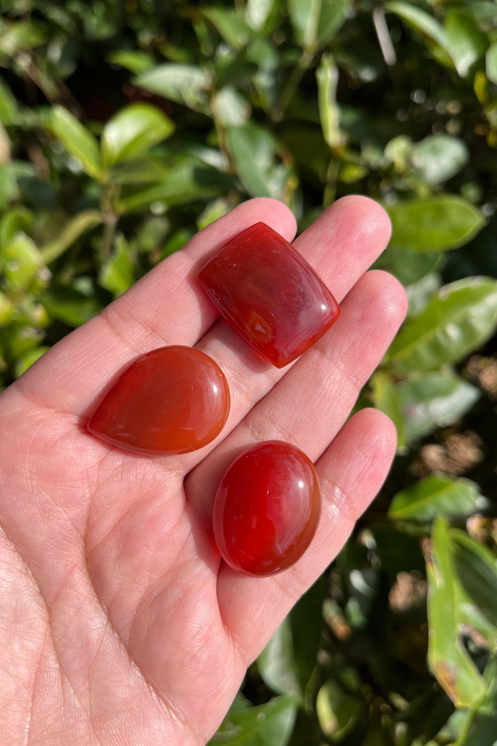 Carnelian Cabochon