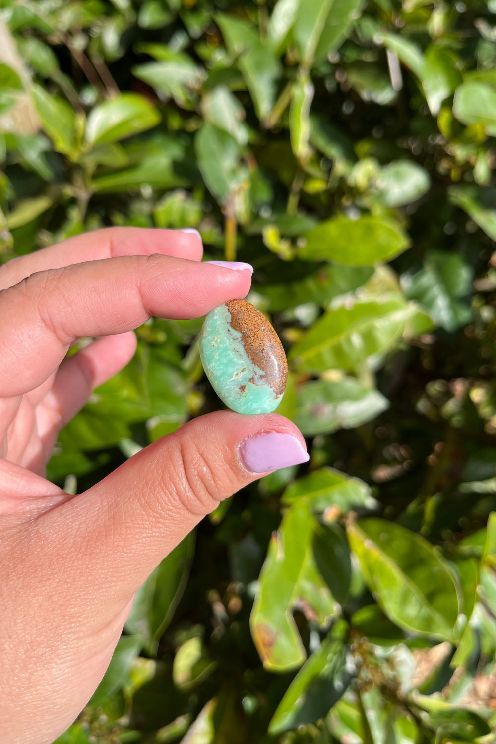 Chrysoprase Cabochon