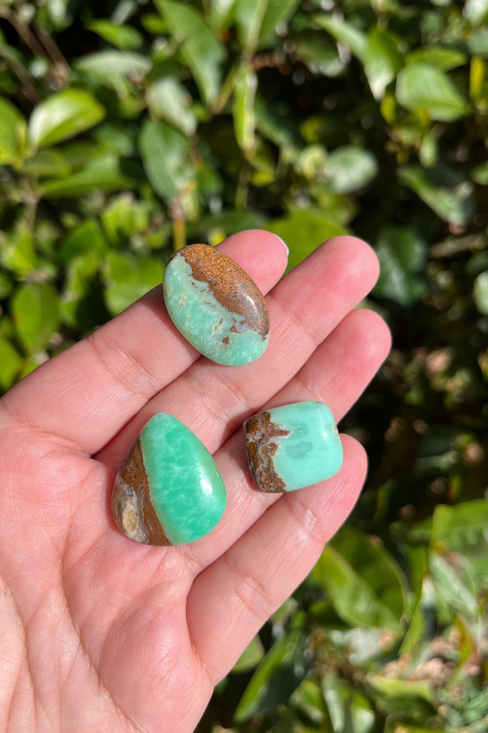 Chrysoprase Cabochon