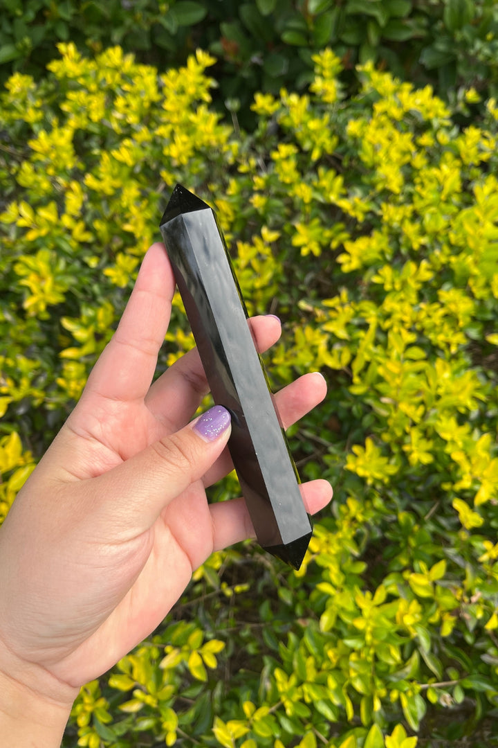 Double Terminated Black Onyx Point