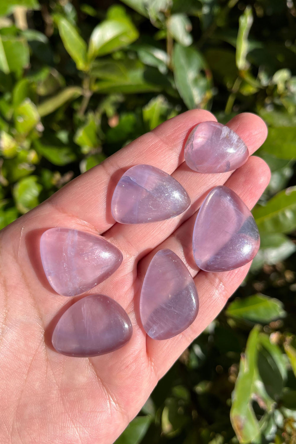 Fluorite Cabochon