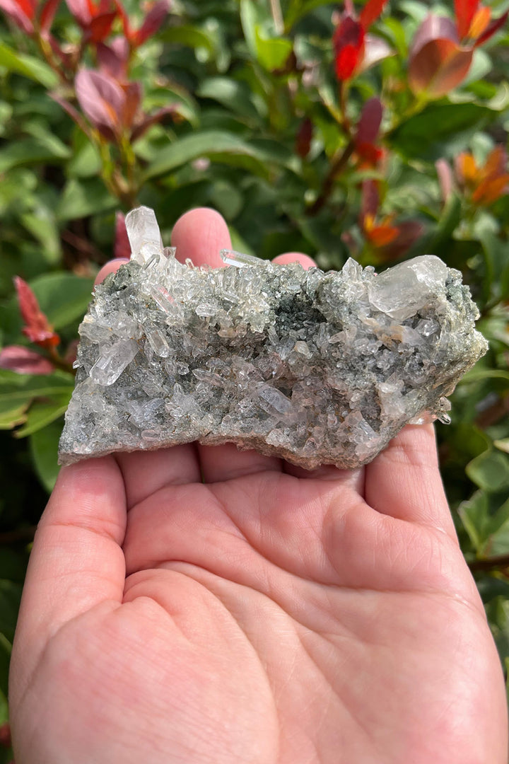 Himalayan Samadhi Quartz Cluster Chloride Inclusion #11