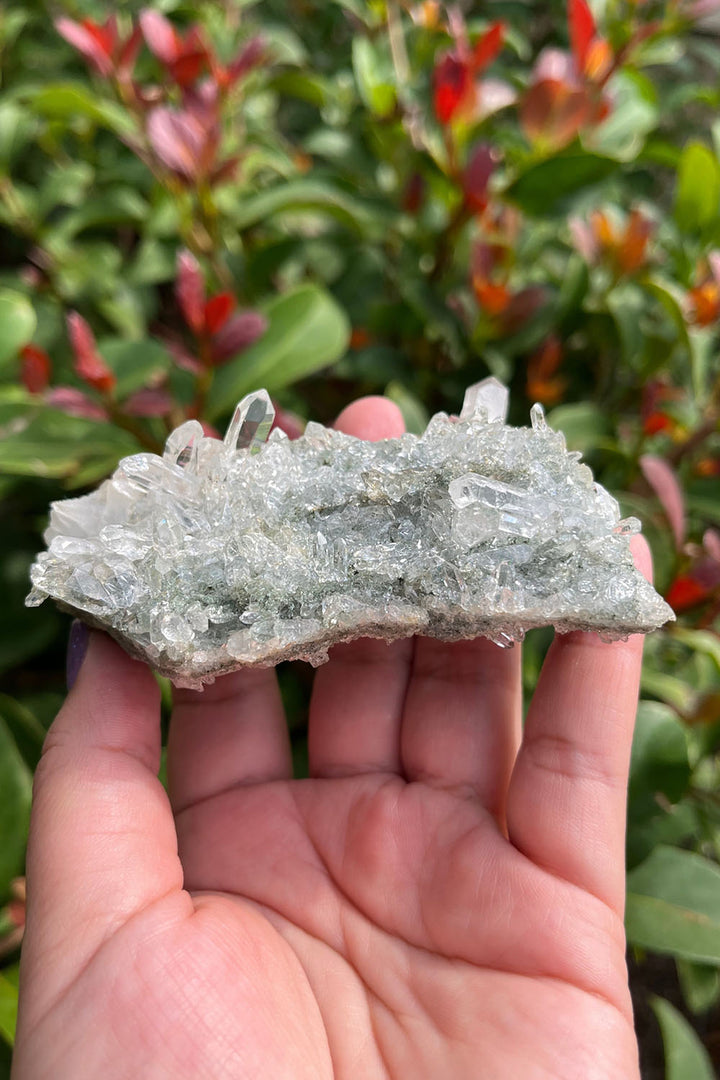 Himalayan Samadhi Quartz Cluster Chloride Inclusion #11
