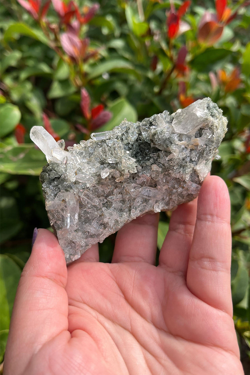 Himalayan Samadhi Quartz Cluster Chloride Inclusion #11