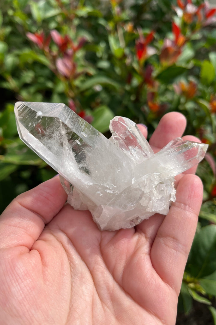 Himalayan Samadhi Lemurian Quartz Cluster #1