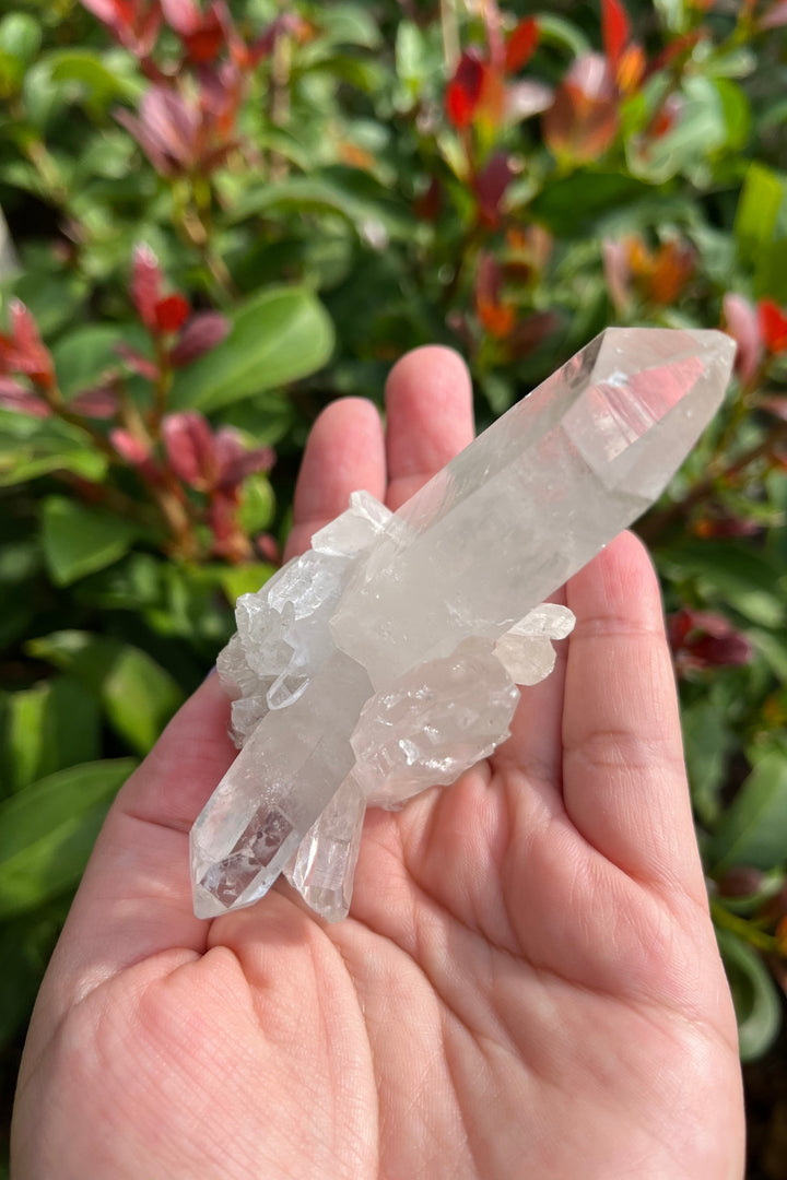 Himalayan Samadhi Lemurian Quartz Cluster #1
