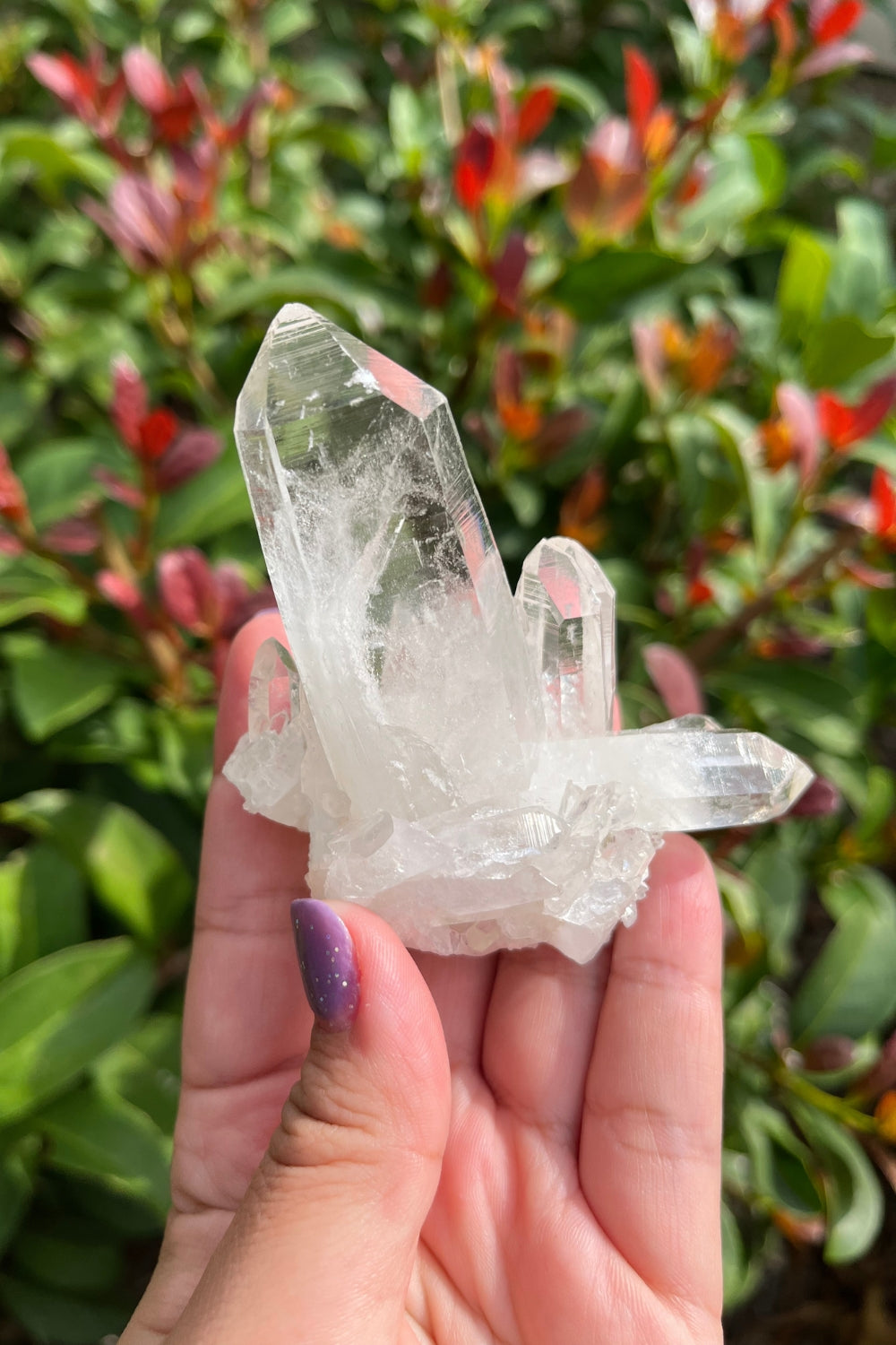 Himalayan Samadhi Lemurian Quartz Cluster #1