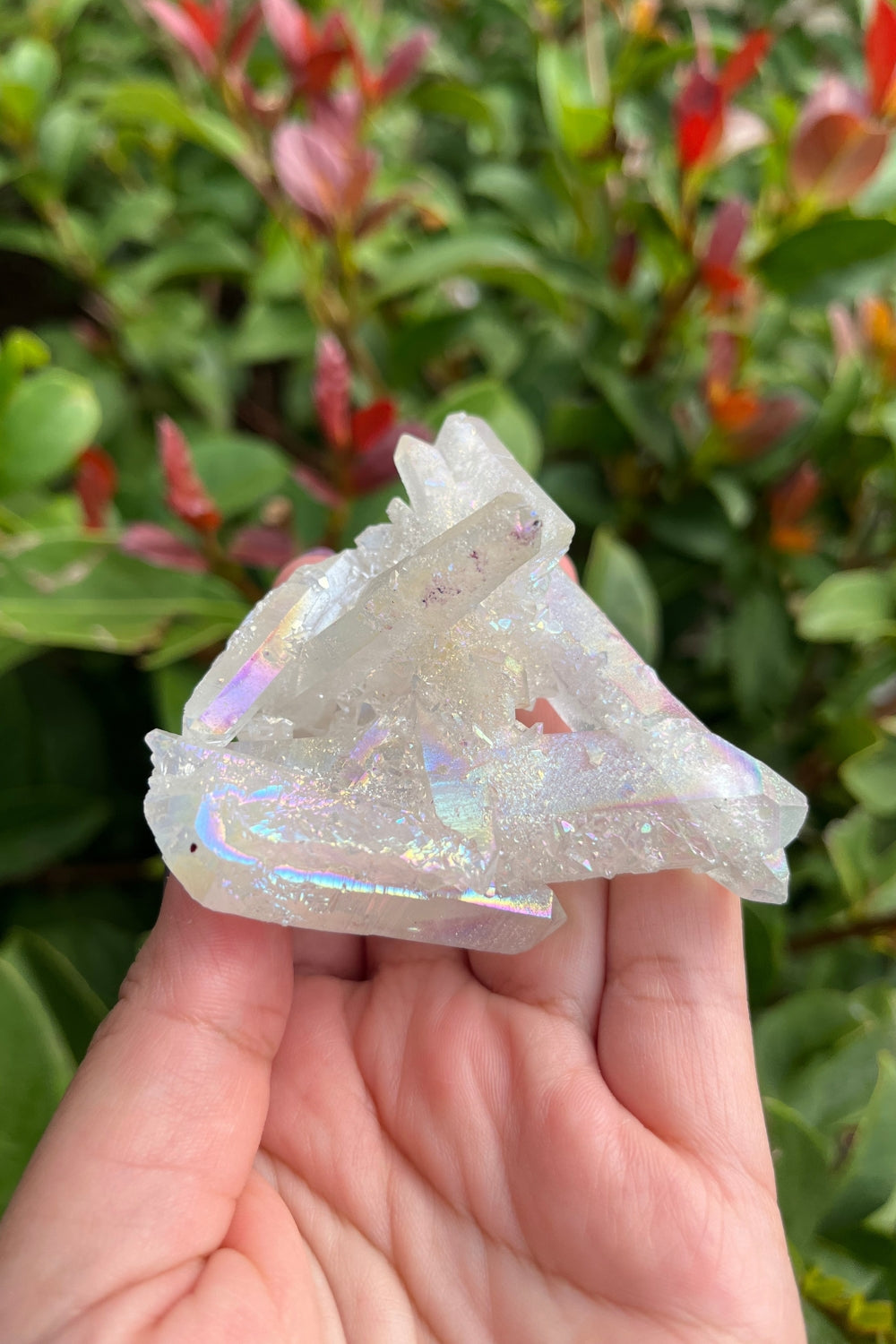 Himalayan Samadhi Quartz Cluster #3