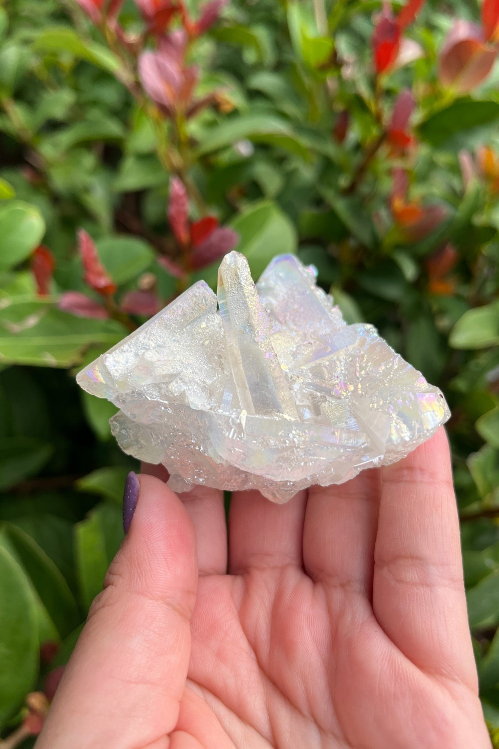 Himalayan Samadhi Quartz Cluster #3