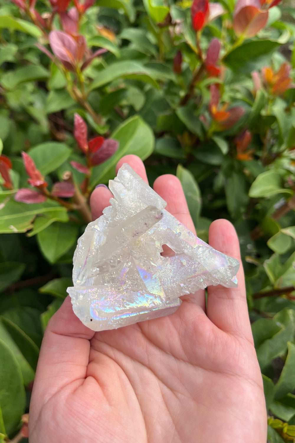 Himalayan Samadhi Quartz Cluster #3