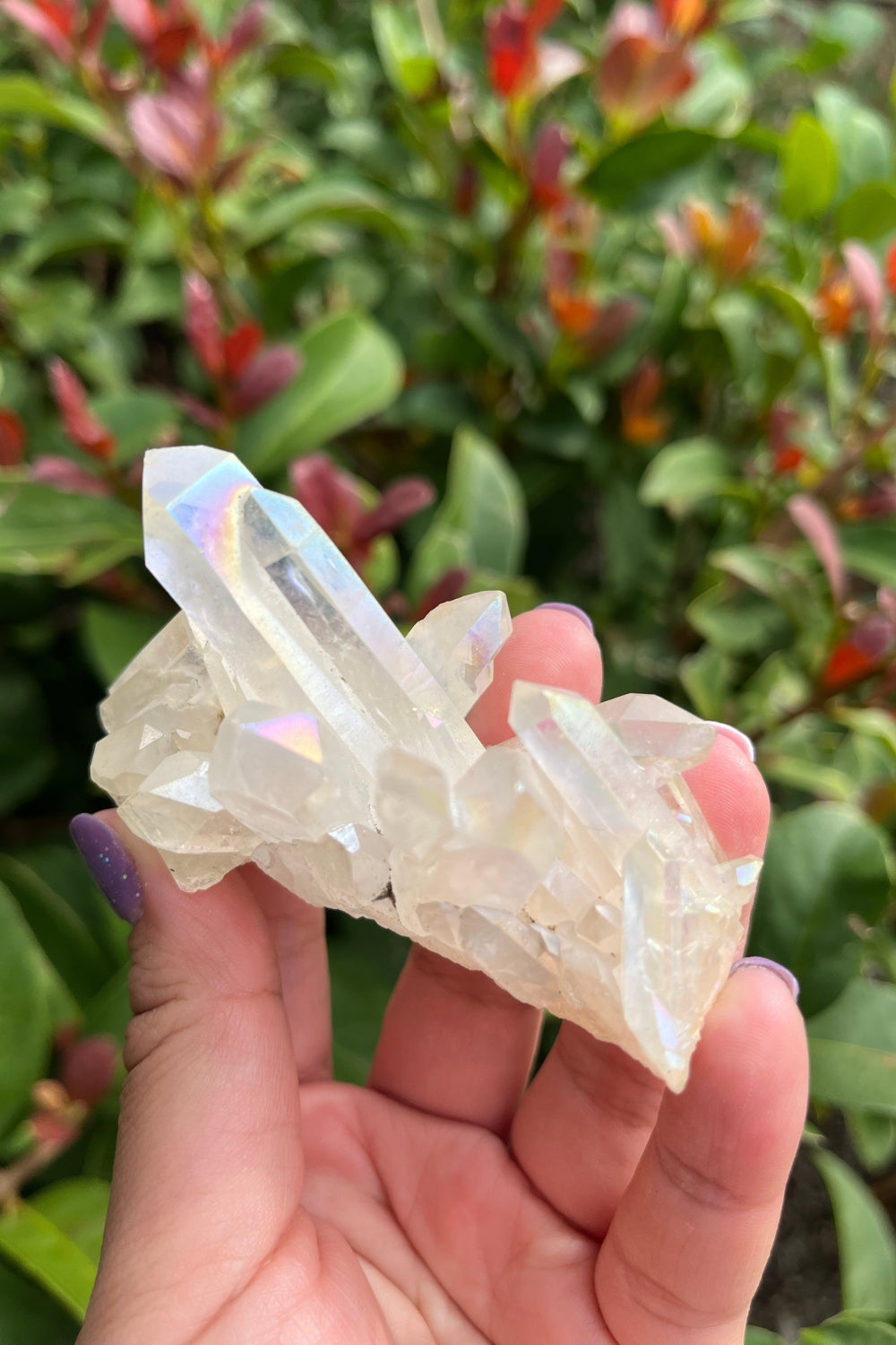 Himalayan Samadhi Quartz Cluster #5