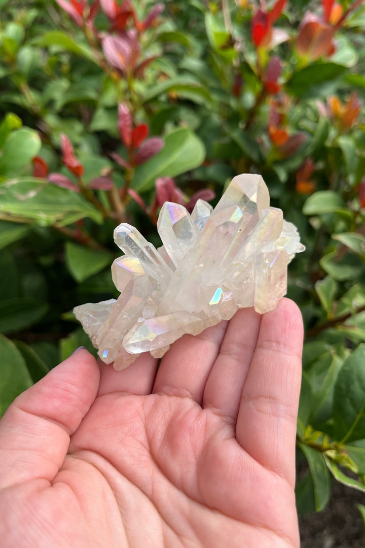 Himalayan Samadhi Quartz Cluster #5