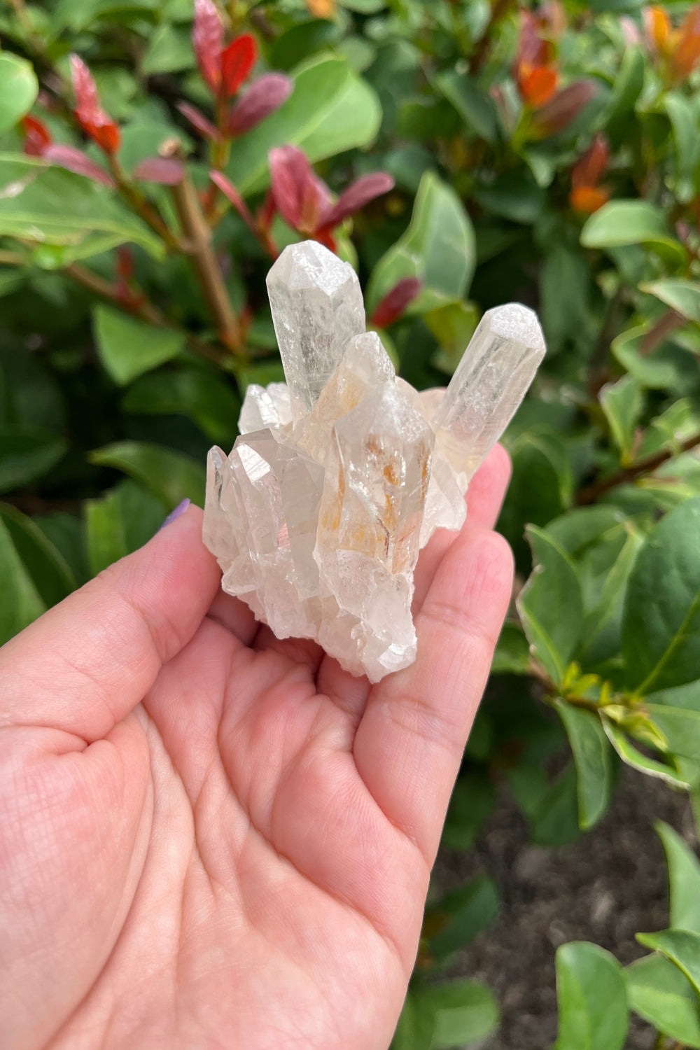 Himalayan Pink Samadhi Quartz Cluster #6
