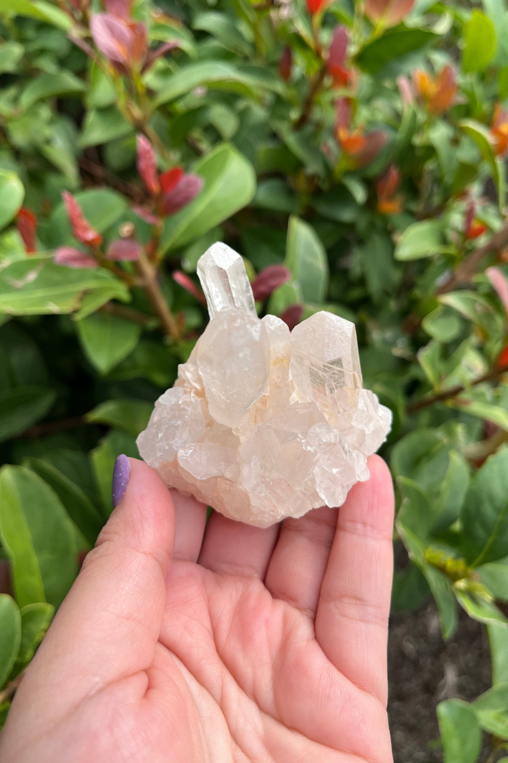 Himalayan Pink Samadhi Quartz Cluster #6