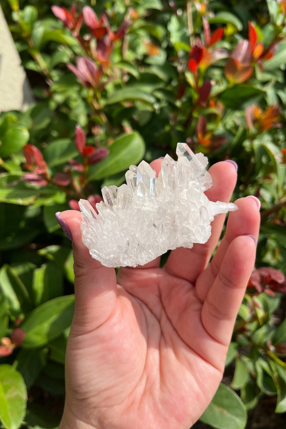 Himalayan Samadhi Lemurian Quartz Cluster #9