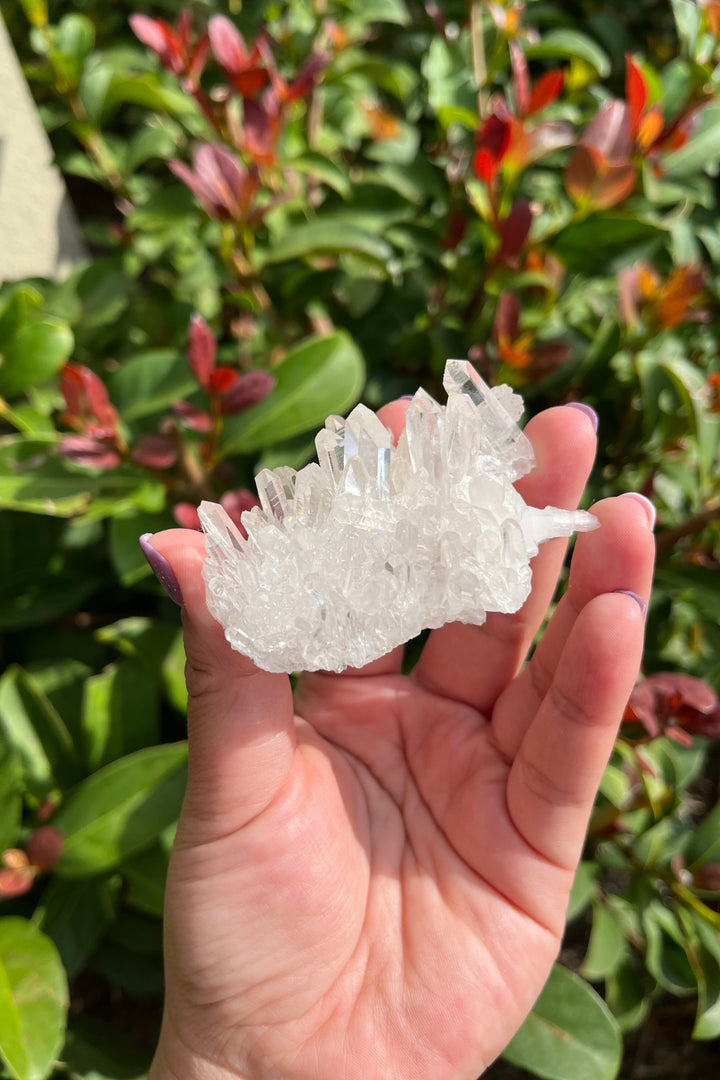 Himalayan Samadhi Lemurian Quartz Cluster #9