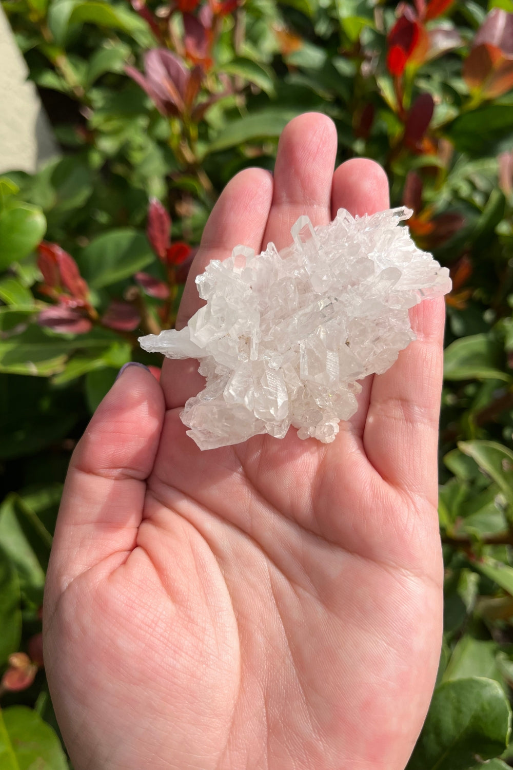 Himalayan Samadhi Lemurian Quartz Cluster #9