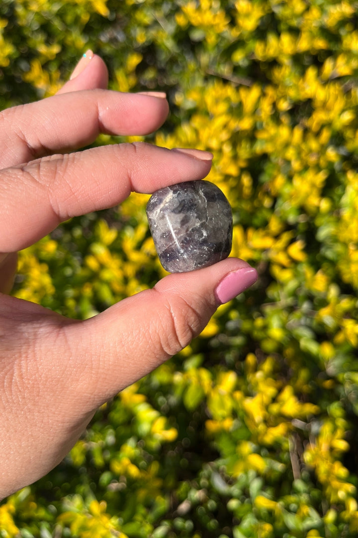 Iolite Tumbles