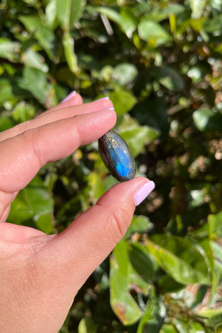 Labradorite Cabochon